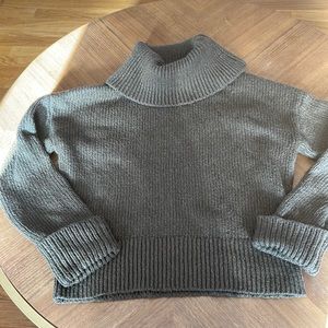 Banana republic turtleneck sweater
